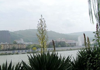 PICT0025_副本_副本_副本