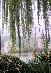 PICT0030_副本_副本