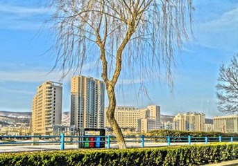 DSC08174_副本_副本_副本