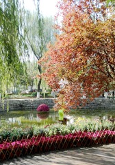DSC00825_副本