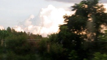 596193