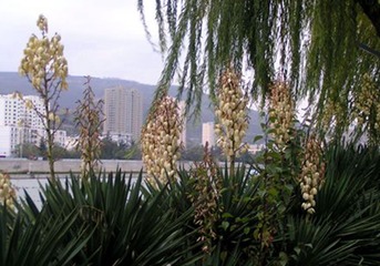 PICT0025_副本_副本