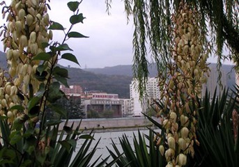 PICT0028_副本_副本