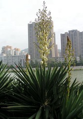 PICT0026_副本_副本_副本