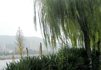 PICT0024_副本_副本_副本