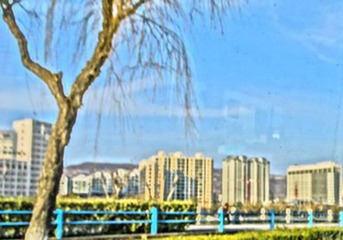 DSC08176_副本_副本_副本