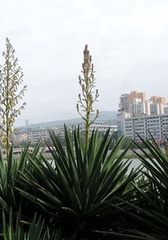 PICT0027_副本_副本_副本