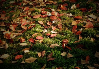 PICT0026_副本