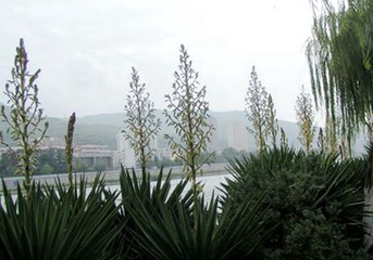 PICT0019_副本_副本_副本