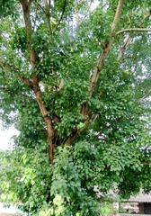 598041