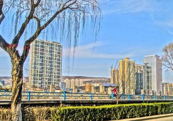 DSC08181_副本_副本_副本