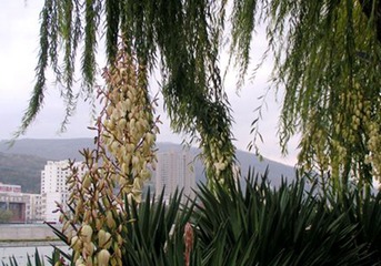 PICT0027_副本_副本