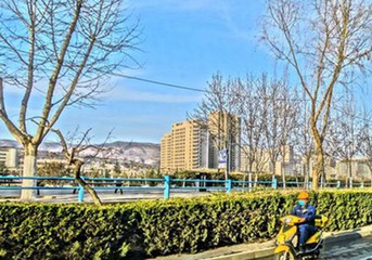 DSC08173_副本_副本_副本