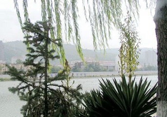 PICT0013_副本_副本_副本