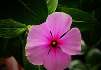 PICT0035_副本_副本_副本_副本