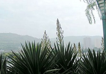 PICT0016_副本_副本_副本