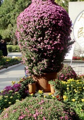 DSC00611_副本