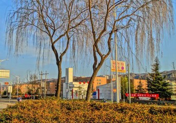 DSC08160_副本_副本_副本_副本
