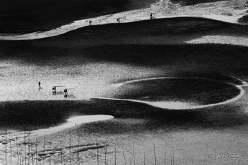 Fishing on the Beach-滩涂渔歌-5460.jpg