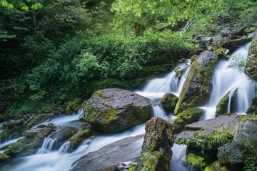 _DSC1316