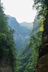 _DSC1445