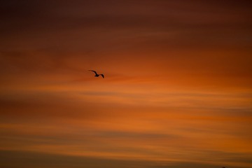 _DSC6432.jpg