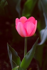 7A3DBB58-D474-43E1-AD13-E09EE62F10D8/L0/001