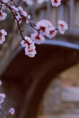 F2F6190D-E326-4A82-93BA-F0EE8979C182/L0/001
