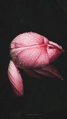 B60D54E0-A791-4D74-A53C-D727642034C1/L0/001