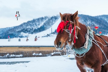 最美雪乡。