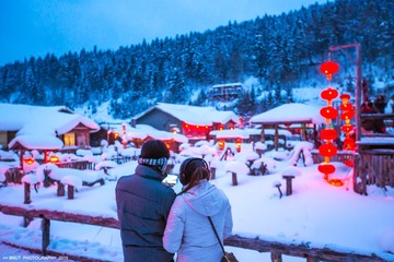 陪你去看雪。