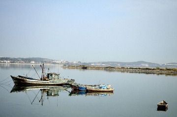 _DSC0589