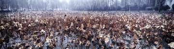 2013-11-21_08-56-29_908