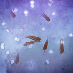 2014-03-08_08-58-47_268