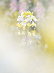 140487
