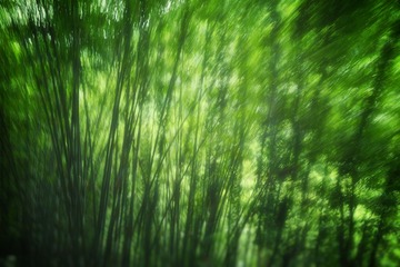 _DSC4389