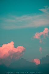 EE986988-69F3-4FD1-A04D-5DF6A7D9F0E9/L0/001