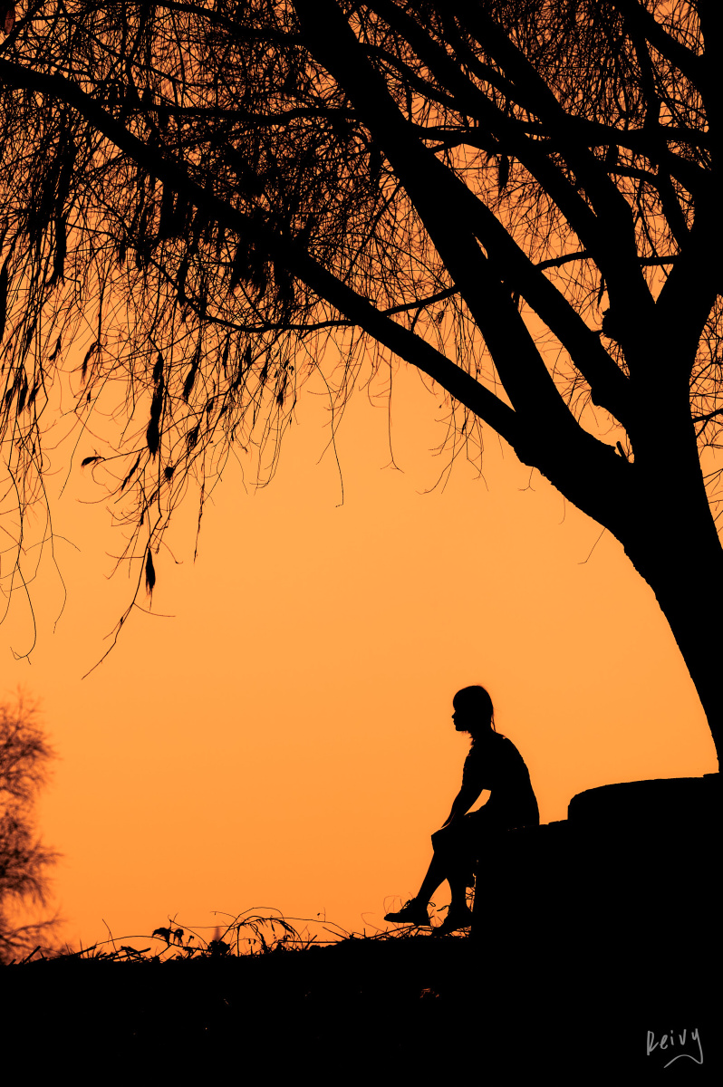 z6   电磁炮拍摄江边逆光拍摄.时间大约在3点多,阳光很强烈.