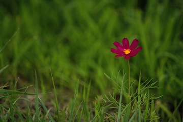 IMG_9503.jpg