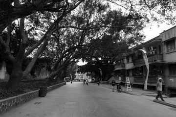 nEO_IMG_DSC00801改.jpg