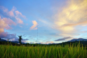 20130602-DSC03775.jpg