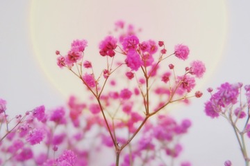 542ED3C1-FD87-42B6-8553-50D2DB810583/L0/001