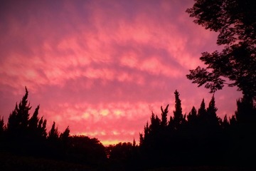 C7F0C1FD-3349-4D4D-BD44-C76FCCA11777/L0/001