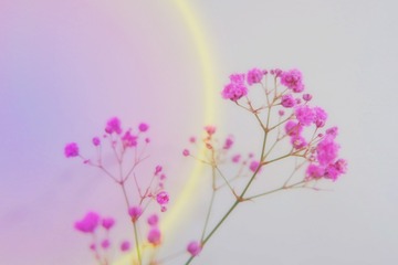 B0AECBB4-1903-4E05-9817-F5770EF7BE59/L0/001