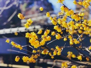 B2C6D35C-2180-462A-AD44-2749F4E49840/L0/001