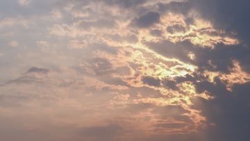 55B2C3E5-5B6B-43FC-8DFD-45369BCDFE96