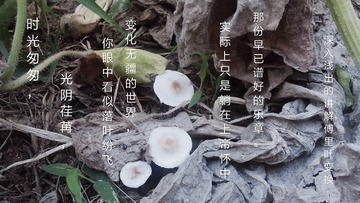 1604390