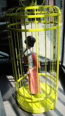 DSC02803.JPG