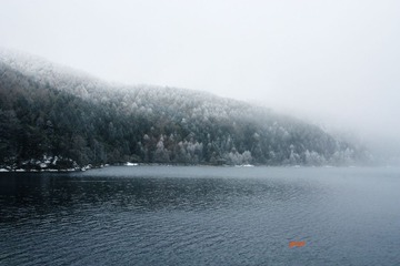 IMG_0046.jpg