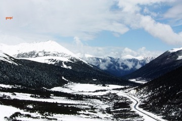 IMG_0504.jpg